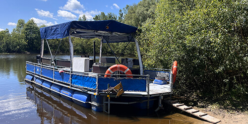 5 и более дней