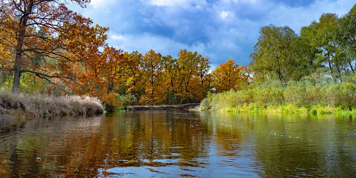 Сплав по рекам Белоруссии